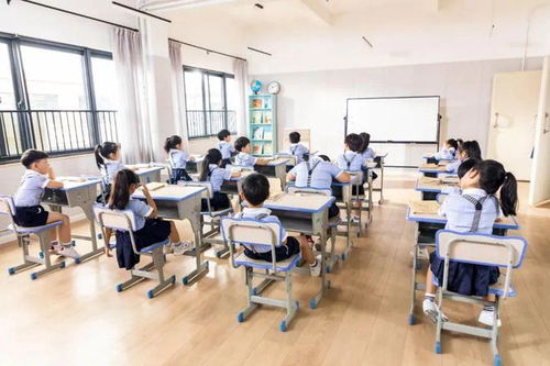 瀘州市關(guān)于放假安排及煙花爆竹禁放區(qū)域的公告